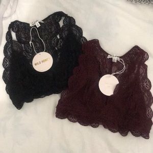 Wild Honey Lace cute and comfy bralette